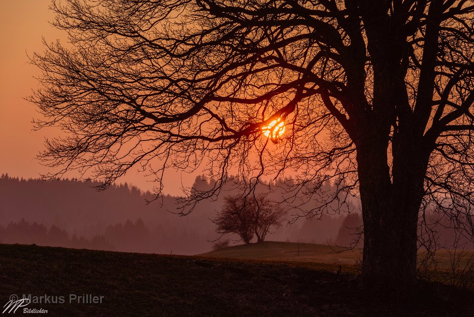 2014.03.07 185557 Sonnenuntergang Sachsenried 3000